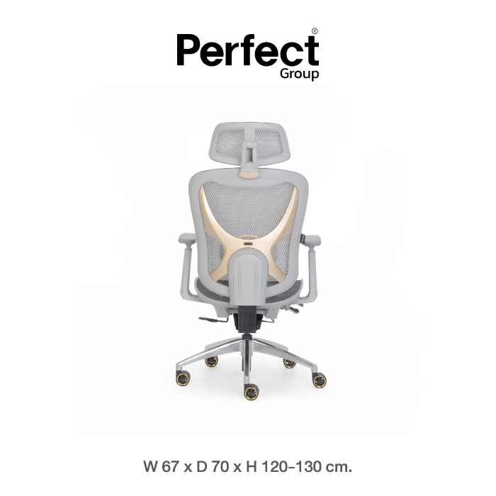 เก้าอี้เกมมิ่ง Perfect รุ่น GRAMMY SERIES สีขาว_0